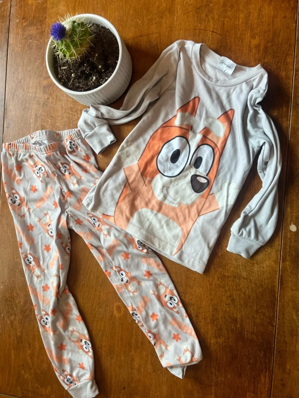 Bluey Pajama Bundle Size 6 Kids Sleepwear 2 Sets Bingo Bluey PJ Set